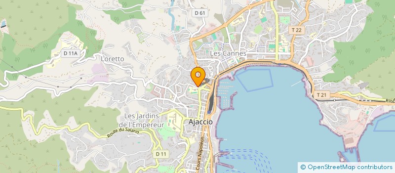 localisation de l'entreprise SERVICES PLUS NETTOYAGE à AJACCIO