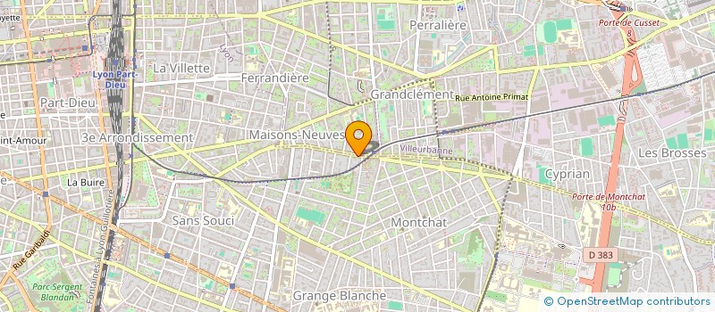 localisation de l'entreprise SERVICES PRO à LYON