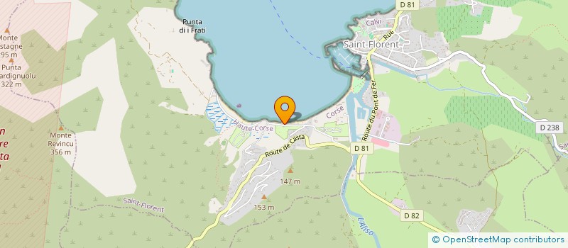 localisation de l'entreprise SERVICES PROFESSIONNELS POUR LA COMPETITIVITE DES ENTREPRISES à SAINT-FLORENT