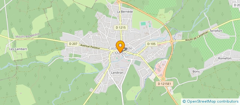 localisation de l'entreprise SERVICES VITICOLES DALLIA  CASTELNAU-DE-MEDOC