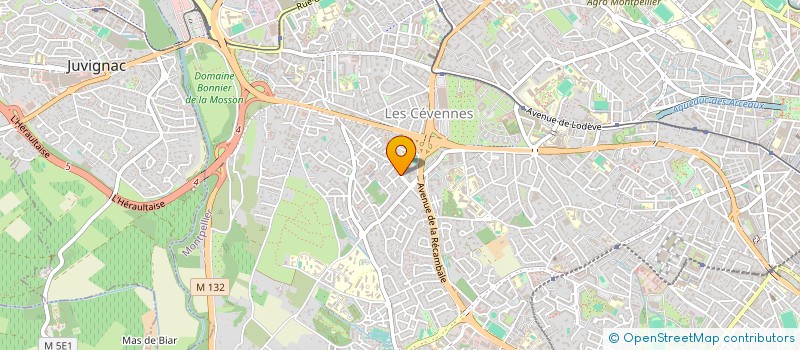 localisation de l'entreprise SERVOFOR à MONTPELLIER