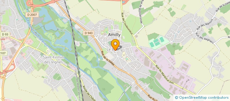 localisation de l'entreprise SFS  AMILLY