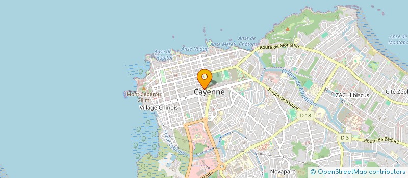 localisation de l'entreprise SFSI-ING à CAYENNE