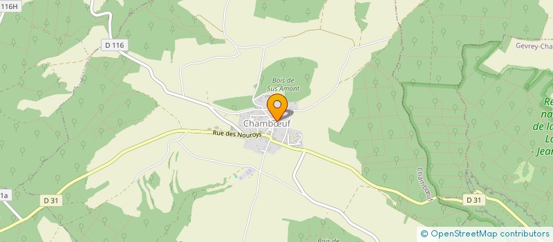 localisation de l'entreprise SG PERFORMANCE  CHAMBUF