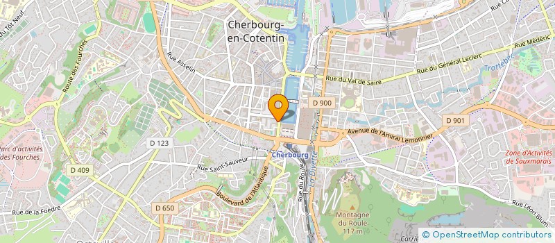 localisation de l'entreprise SGS PRO  CHERBOURG-EN-COTENTIN