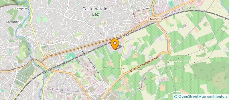 localisation de l'entreprise SHECKLY à CASTELNAU-LE-LEZ