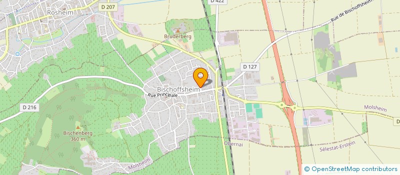 localisation de l'entreprise SHINING SMILE  BISCHOFFSHEIM