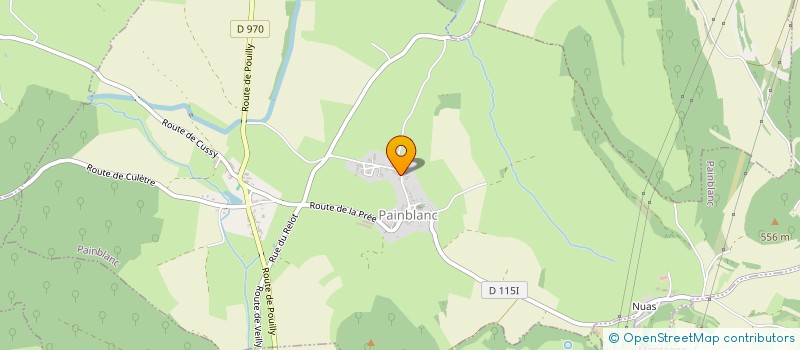 localisation de l'entreprise SHIRO  PAINBLANC