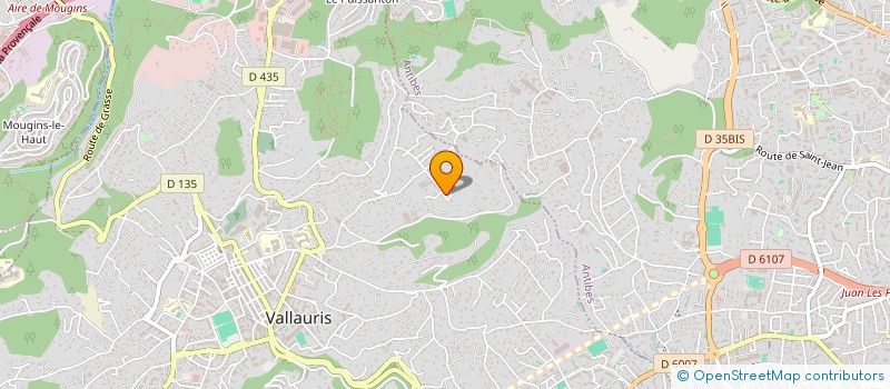 localisation de l'entreprise SHIZENSO  VALLAURIS