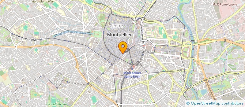 localisation de l'entreprise SHONEN ROOM 34  MONTPELLIER