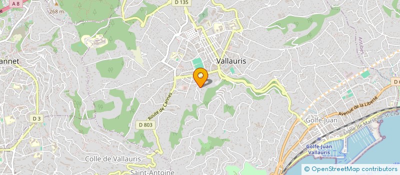 localisation de l'entreprise SHOW DIFFUSION à VALLAURIS