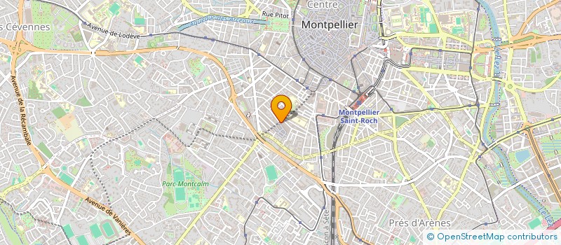 localisation de l'entreprise SHOW KEBAB à MONTPELLIER