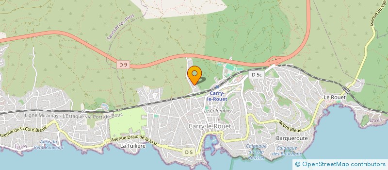 localisation de l'entreprise SIDDARTHA  CARRY-LE-ROUET