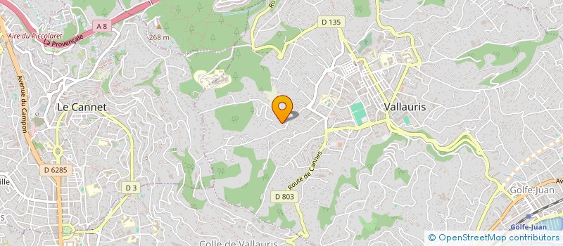 localisation de l'entreprise SILIKORD  VALLAURIS