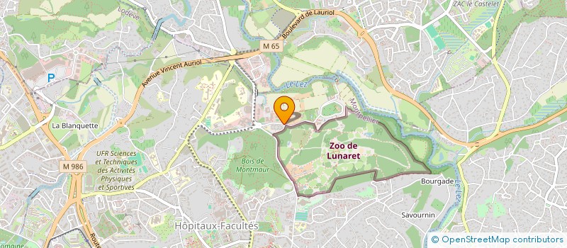 localisation de l'entreprise SILVA ARBRES FORETS ET SOCIETES à MONTPELLIER