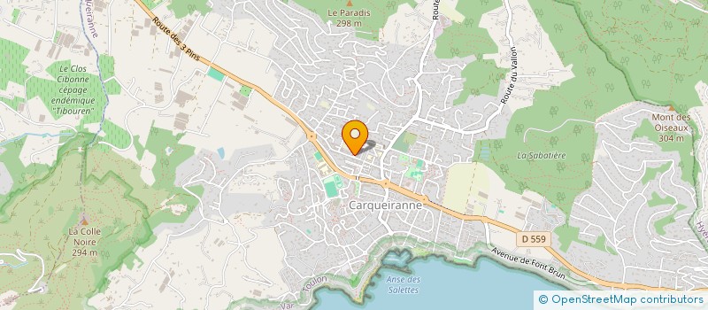 localisation de l'entreprise SILVESTRI ROLAND ET RAOUL  CARQUEIRANNE