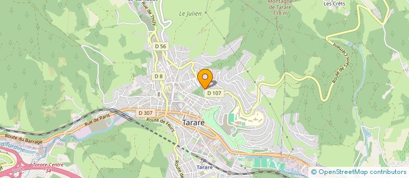 localisation de l'entreprise SIMON & CO  TARARE