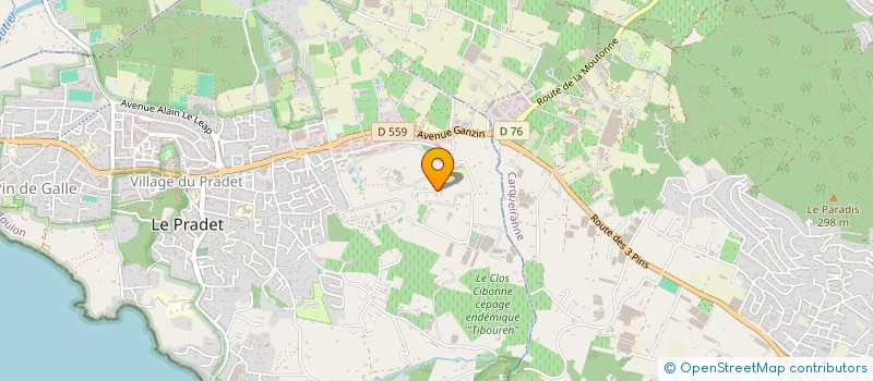 localisation de l'entreprise SIMONE.D  LE PRADET