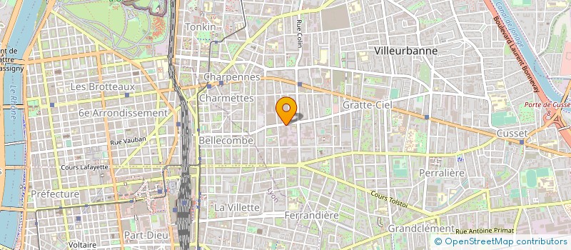 localisation de l'entreprise SIMONETTI SEBASTIEN GRYPHE à VILLEURBANNE