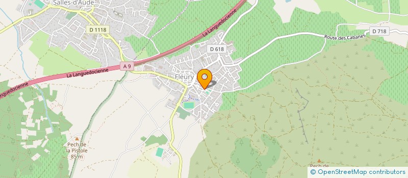 localisation de l'entreprise SINA  FLEURY