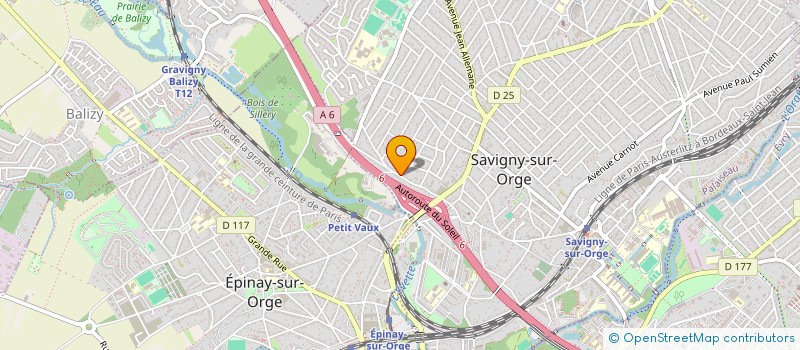 localisation de l'entreprise SINGE IMMO  SAVIGNY-SUR-ORGE