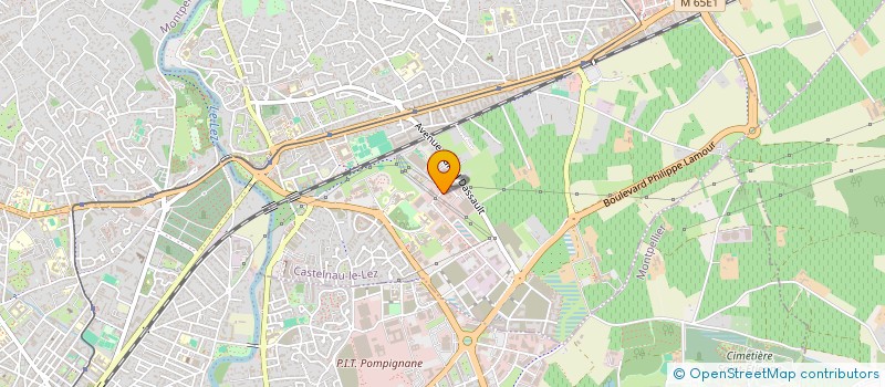 localisation de l'entreprise SIORG CONSULTING à CASTELNAU-LE-LEZ