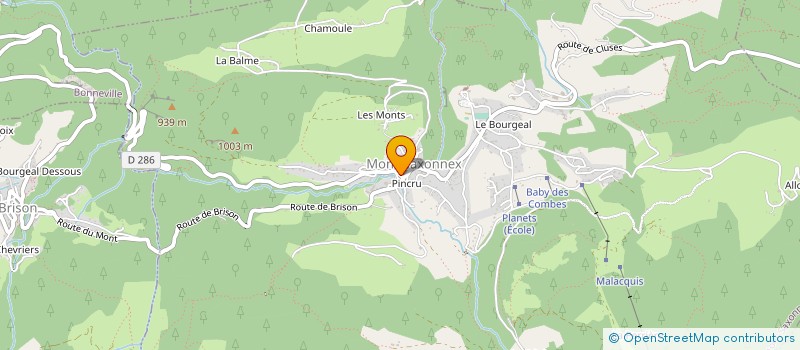 localisation de l'entreprise SIRBU LE VINCENNES  MONT-SAXONNEX