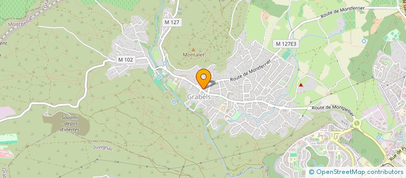 localisation de l'entreprise SIRIUS  MONTFERRIER-SUR-LEZ