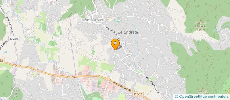 localisation de l'entreprise SIRIUS SAS  MONTAUROUX