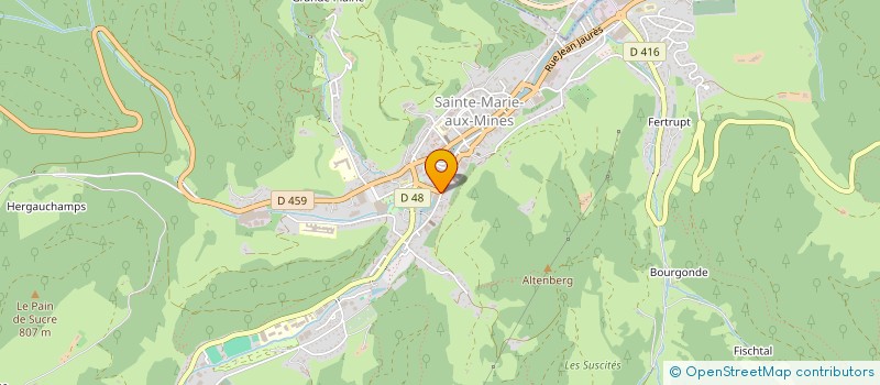 localisation de l'entreprise SIT-FORM  SAINTE-MARIE-AUX-MINES