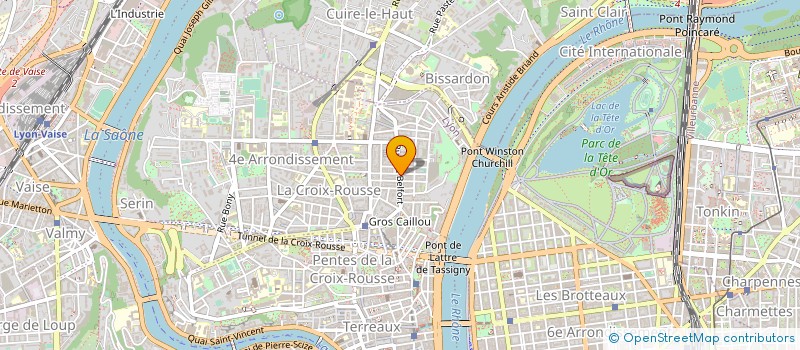 localisation de l'entreprise SITES & SCENES à LYON