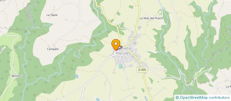 localisation de l'entreprise SIVOM DU PEYRALES à LA SALVETAT-PEYRALES