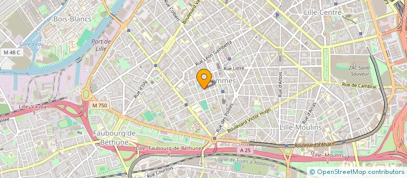 localisation de l'entreprise SKANK MUSIC à LILLE