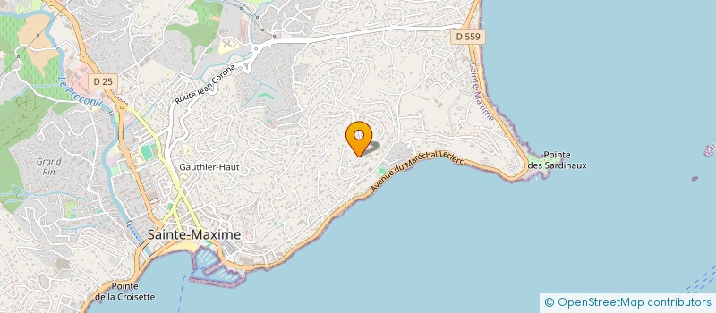 localisation de l'entreprise SKI NAUTIQUE CLUB MAXIMOIS à SAINTE MAXIME