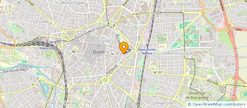 localisation de l'entreprise SKINHAIR CLINIC à DIJON