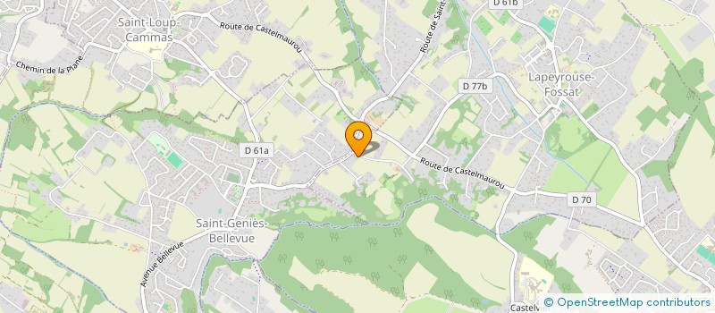 localisation de l'entreprise SKYCONSEIL  TOULOUSE