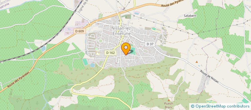 localisation de l'entreprise SL TRANSPORT  NISSAN-LEZ-ENSERUNE