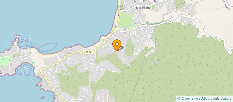 localisation de l'entreprise SLF  LYON