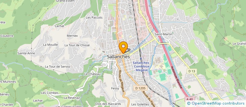 localisation de l'entreprise SLF DIFFUSION  SALLANCHES