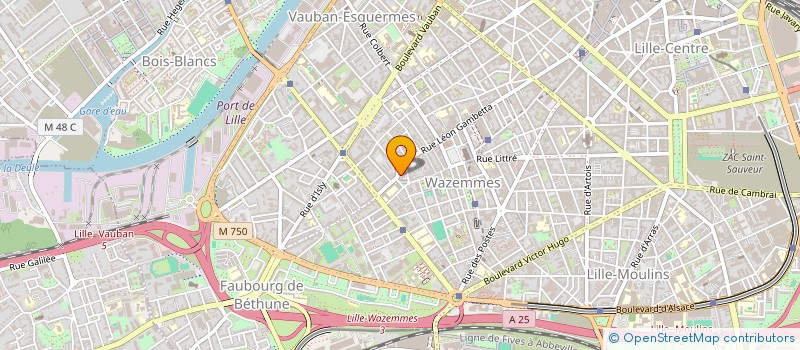 localisation de l'entreprise SLIMCOW à LILLE