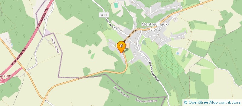 localisation de l'entreprise SLM PAIES  MONTREUIL-AUX-LIONS