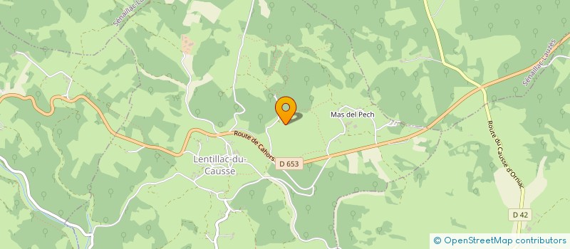 localisation de l'entreprise SMALL FACED MAN  CENEVIERES