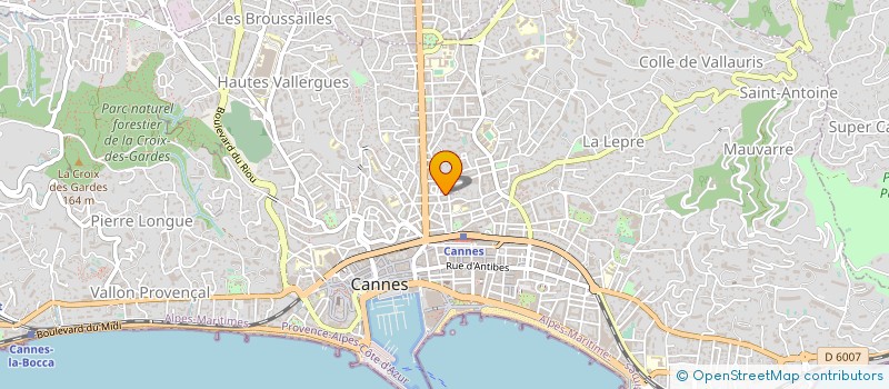 localisation de l'entreprise SMART CIC GLOBAL SERVICES à CANNES