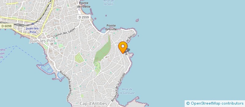 localisation de l'entreprise SMARTICS à ANTIBES