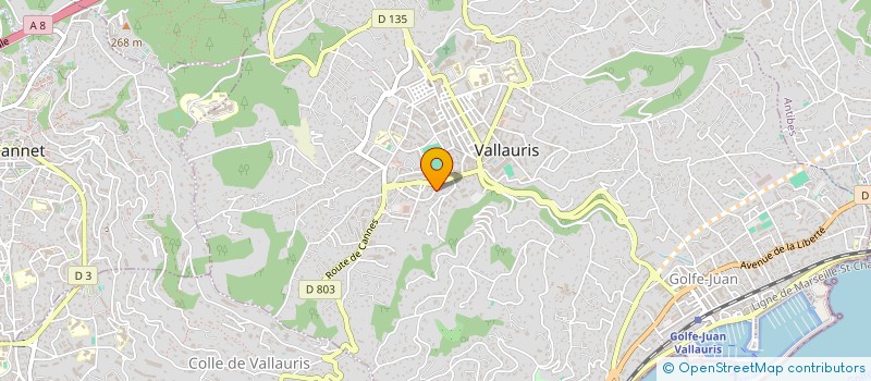 localisation de l'entreprise SMARTING à VALLAURIS