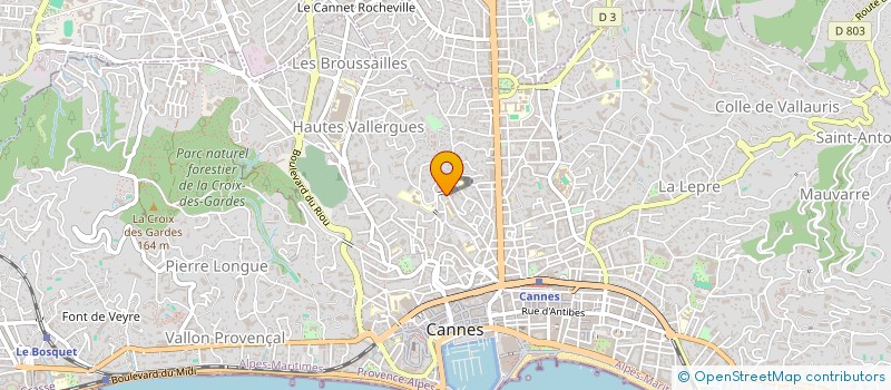 localisation de l'entreprise SMARTINVEST BB  CANNES