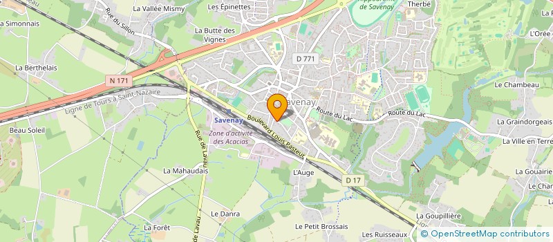 localisation de l'entreprise SMGY HOLDING  SAVENAY