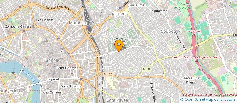localisation de l'entreprise SMILE REVOLUTION à TOULOUSE
