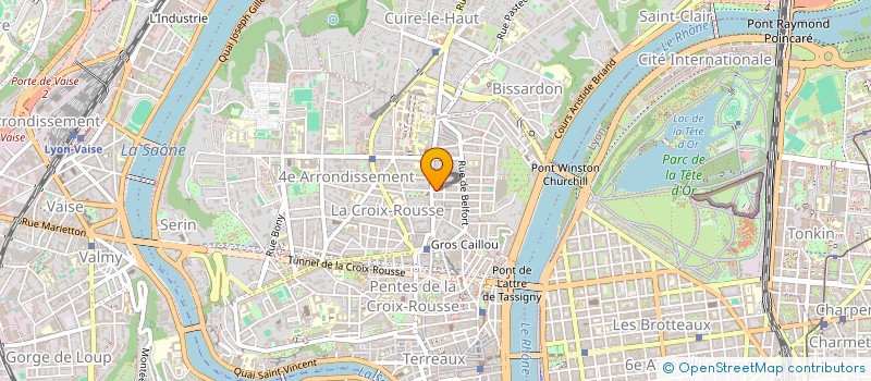 localisation de l'entreprise SMM  LYON