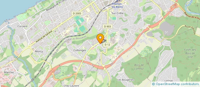 localisation de l'entreprise SMS-MMS MACONNERIE à THONON-LES-BAINS